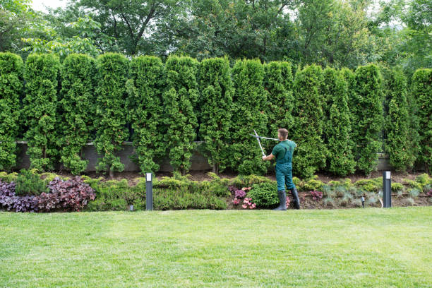 Best Artificial Turf Installation  in Walker Valley, NY